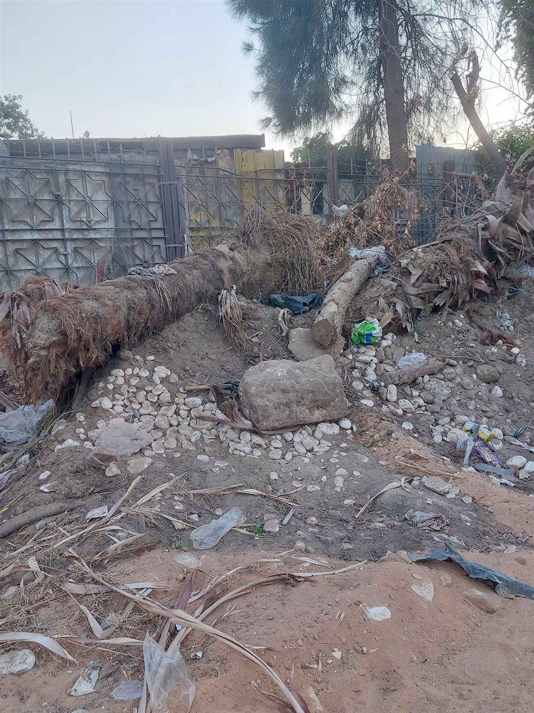 إزالة حديقة أم كلثوم