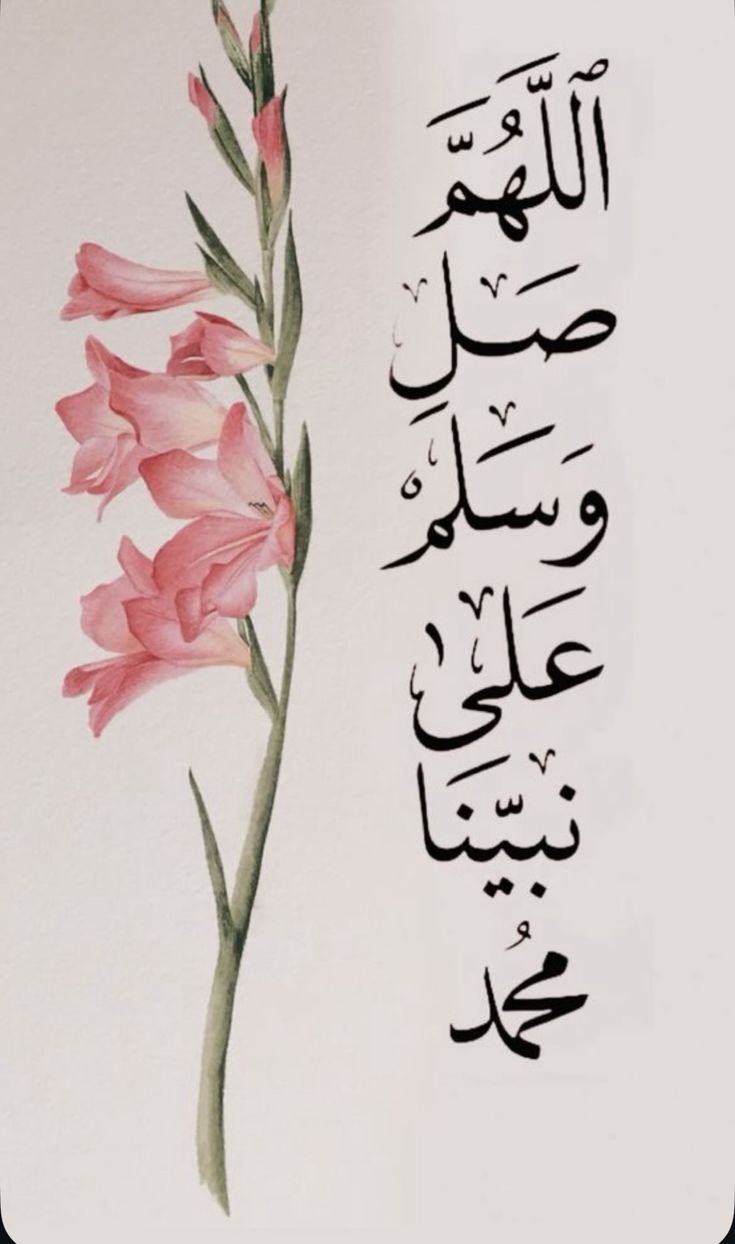 رسائل تهنئة المولد النبوي الشريف بالصور