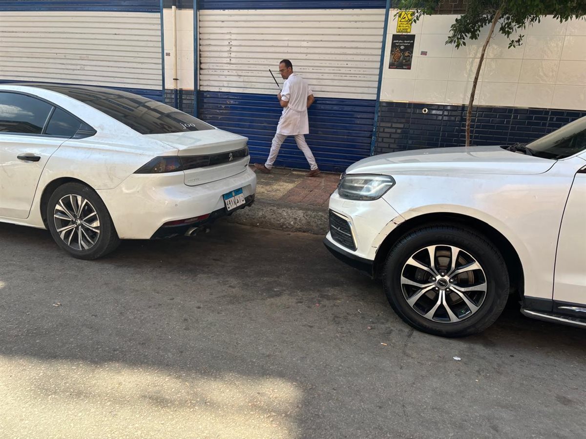 حملة بيطرية بدمنهور لتحصين الكلاب الحرة