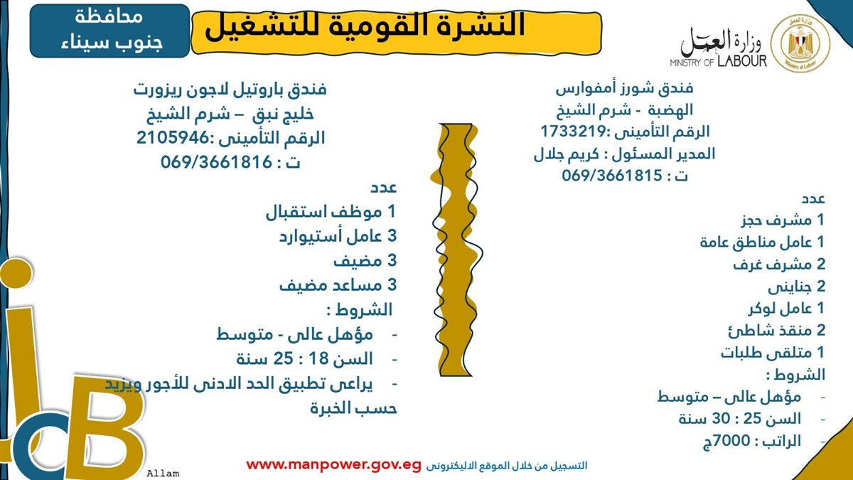 فرص عمل جديدة من وزارة العمل