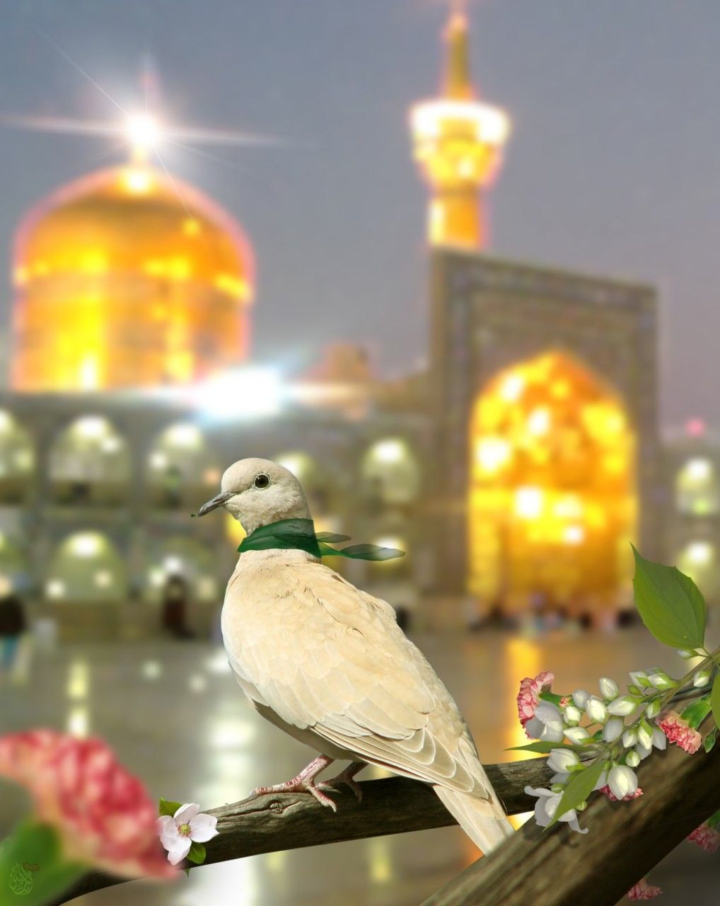 صور تهنئة المولد النبوي 2025