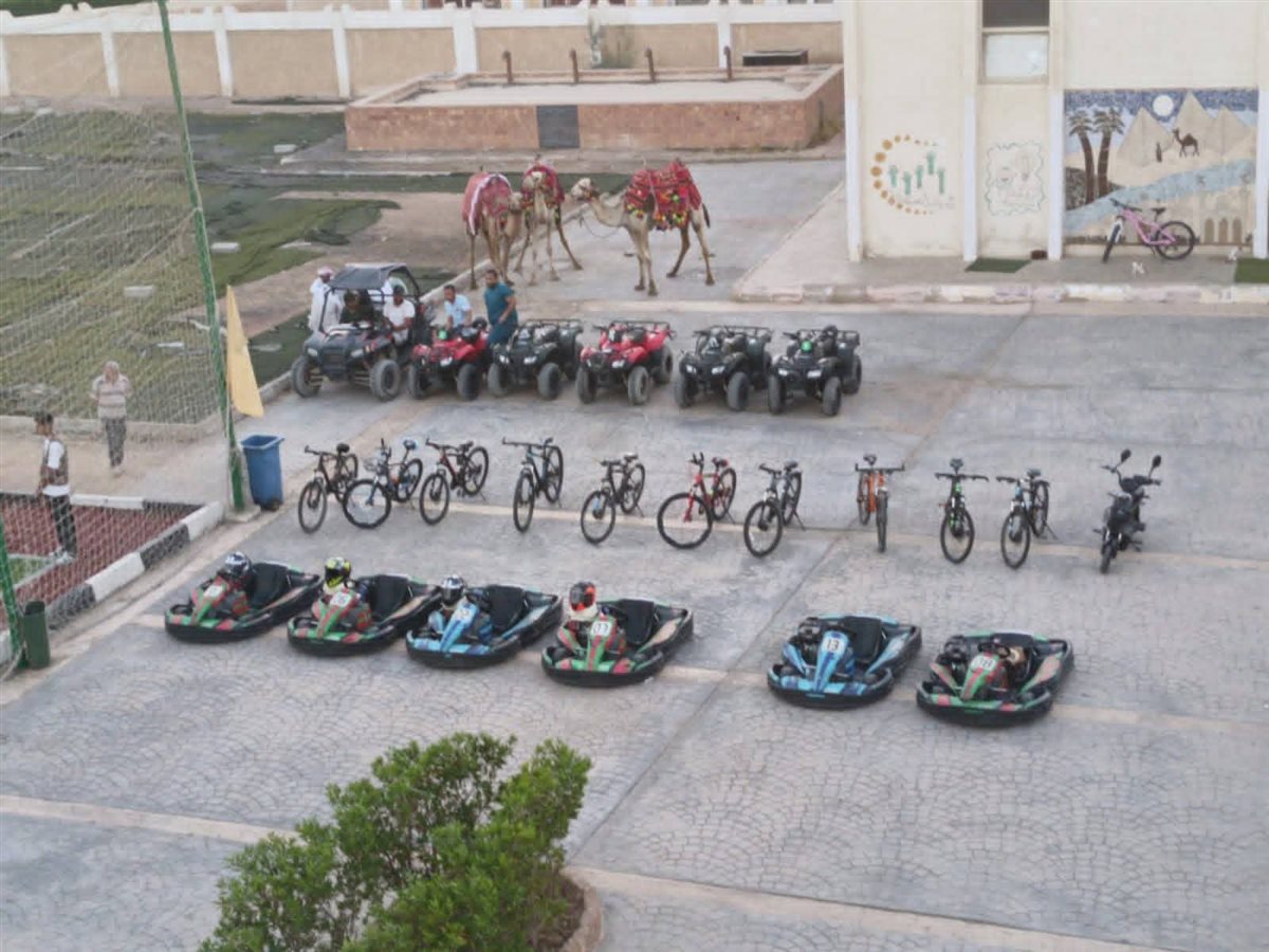 الاحتفال باليوم العالمى لليوجا بشرم الشيخ 