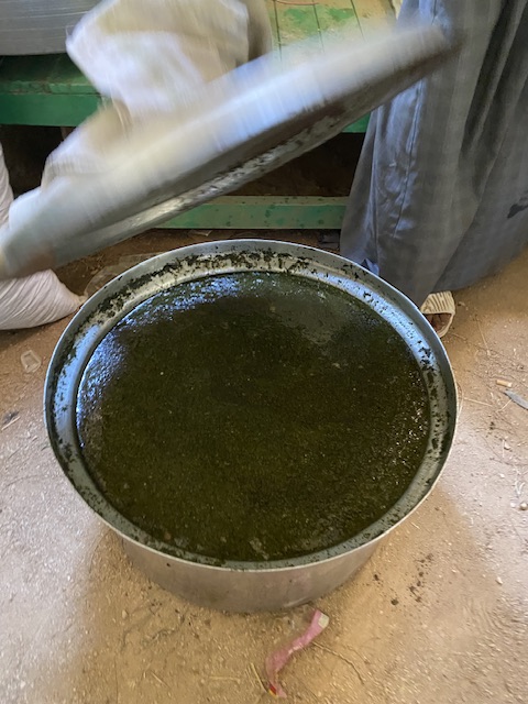 بالملوخية أهالي العقاربة يحتفلون بالمولد النبوي الشريف