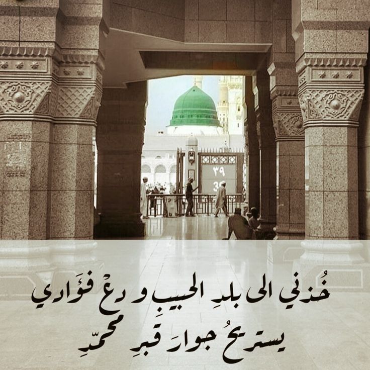 تهنئة المولد النبوي