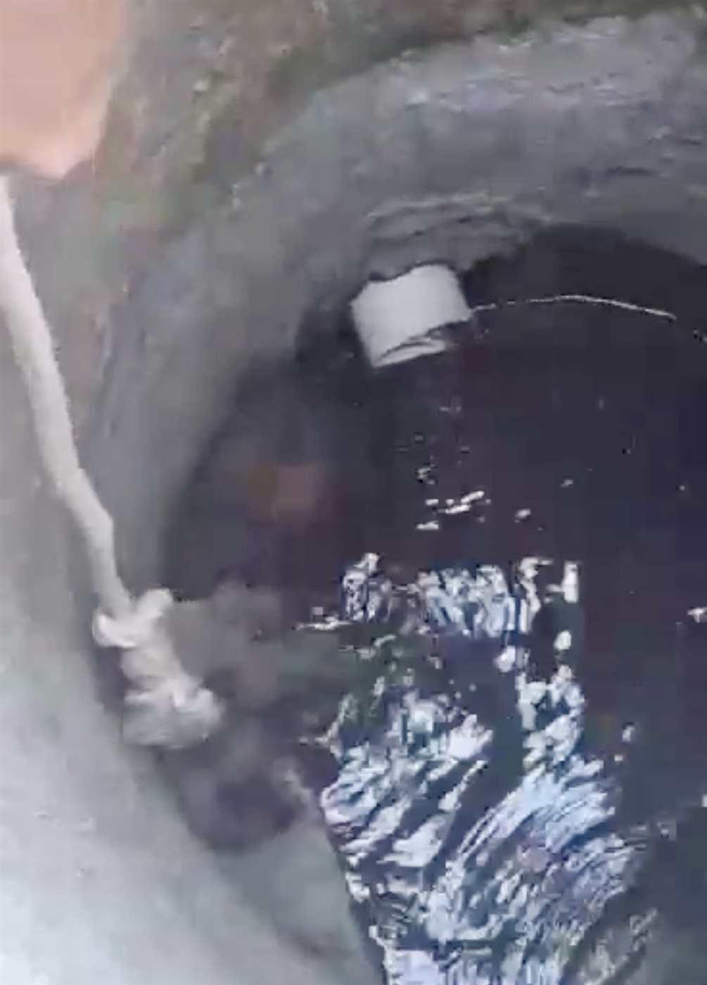 الجد وأحفادة ينقذون كلبا سقط في بئر بالأقصر