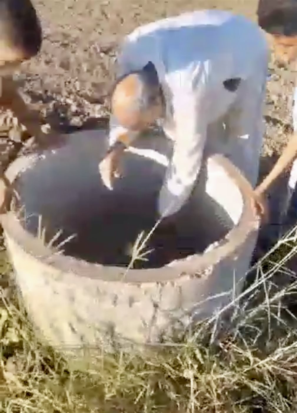 الجد وأحفادة ينقذون كلبا سقط في بئر بالأقصر