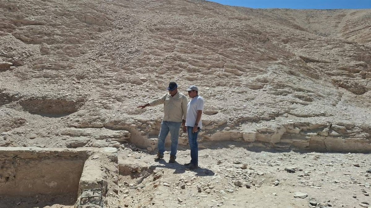 معاينة موقع كافتيريا وادي الملوك