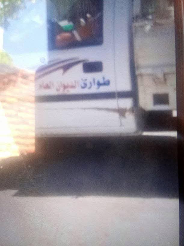 الصور المتداولة