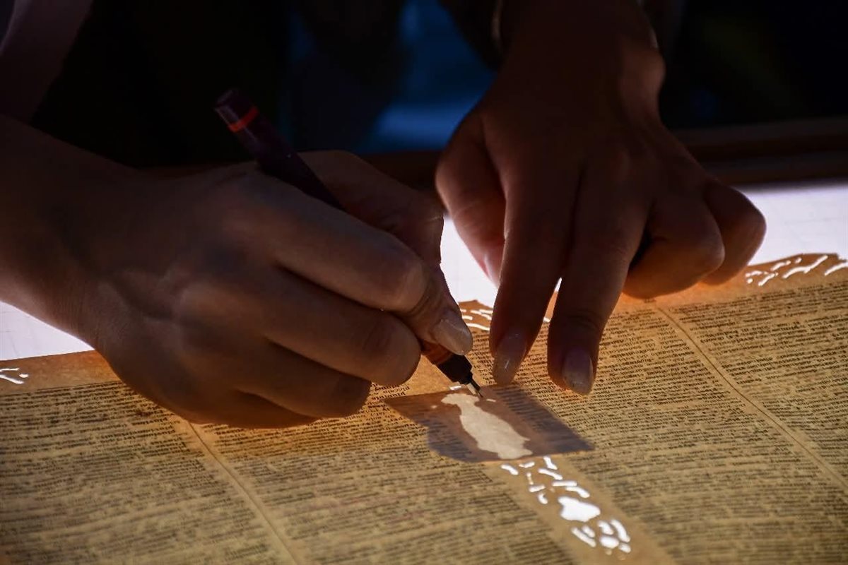 جزء من الدورة