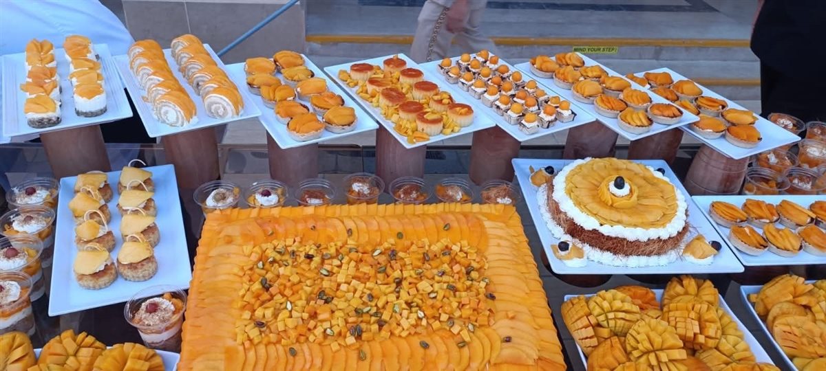 مهرجان المانجو على شواطئ فنادق مرسي علم 