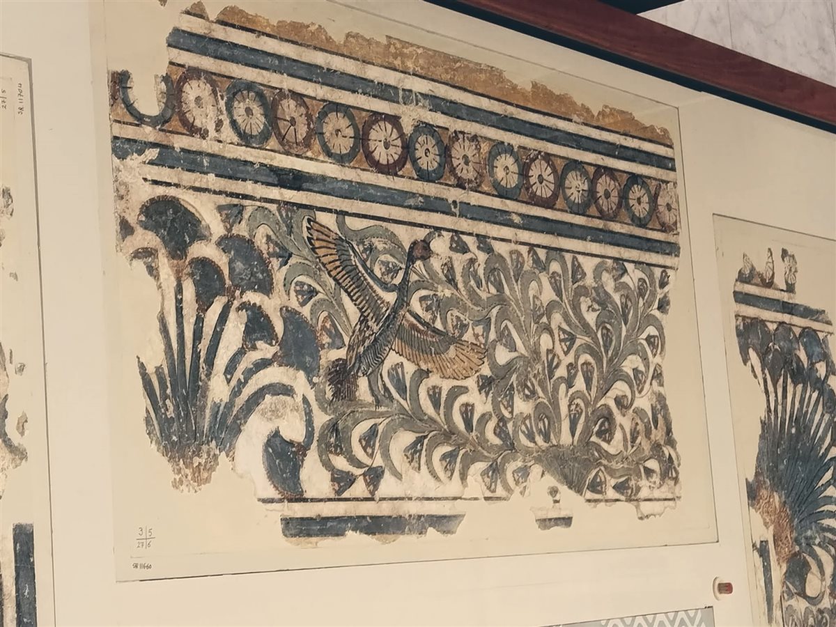 لوحات الملقطة بالأقصر