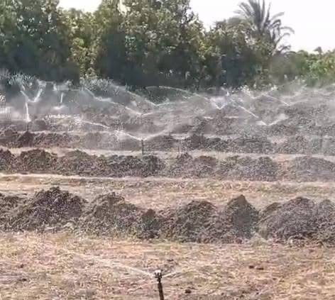 نموذج القرية الخضراء بالأقصر