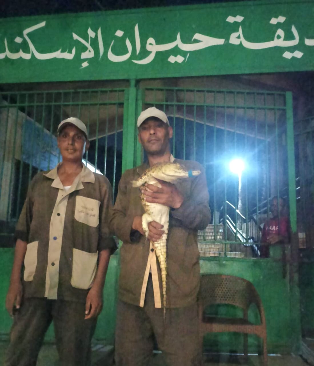 وزيرة التنمية المحلية والقائم بأعمال وزير البيئة توجه بالتعامل الفوري مع بلاغ العثور على تمساح بمياه البحر بمنطقة أبوتلات بالإسكندرية