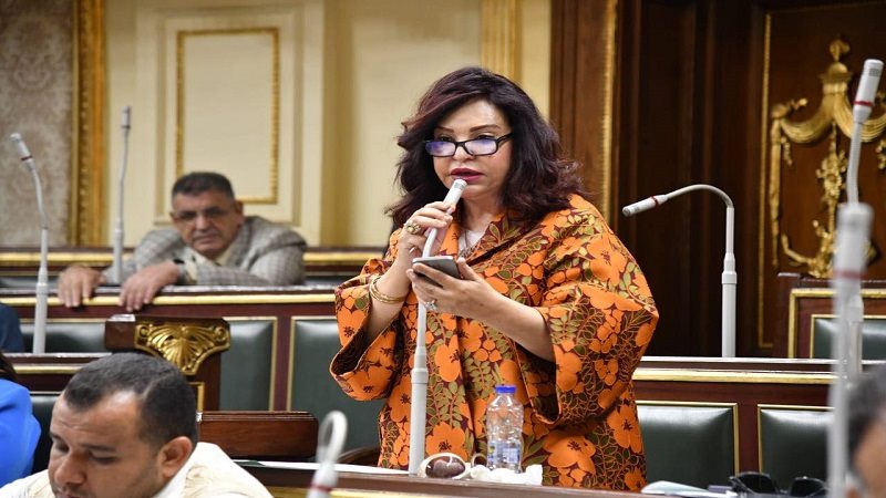 النائبة آمال عبد الحميد