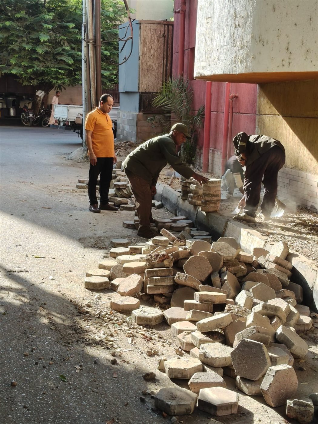 صيانة 20 كشاف إنارة بكورنيش النيل وإعادة تأهيل الجزر الوسطى بحي جنوب الأقصر