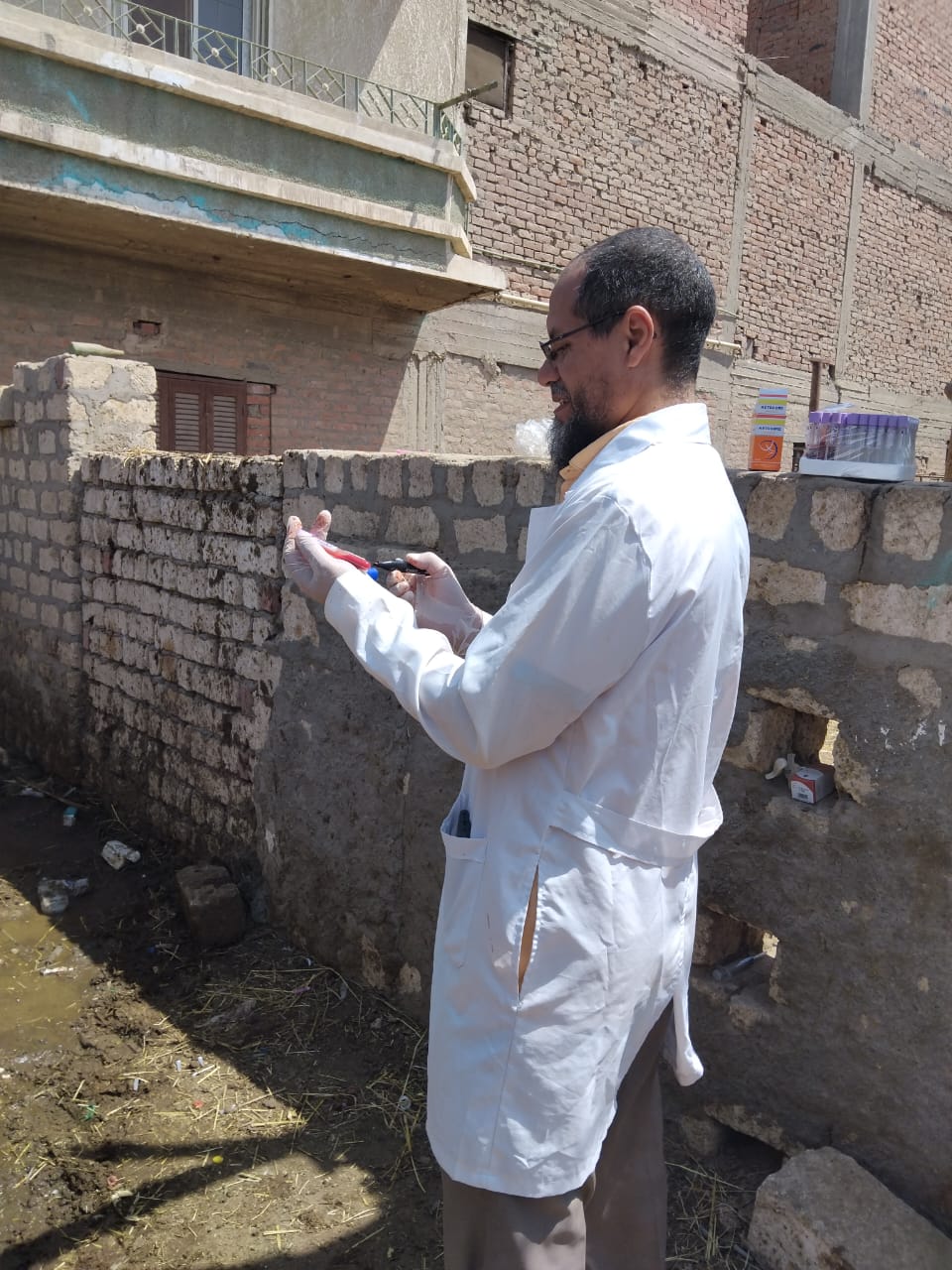 تحصين 80293 رأس ماشية ضد مرضي الحمى القلاعية وحمى الوادي المتصدع بالفيوم 