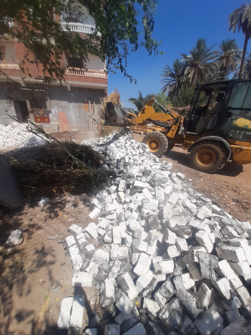 جانب من أعمال الإزالة