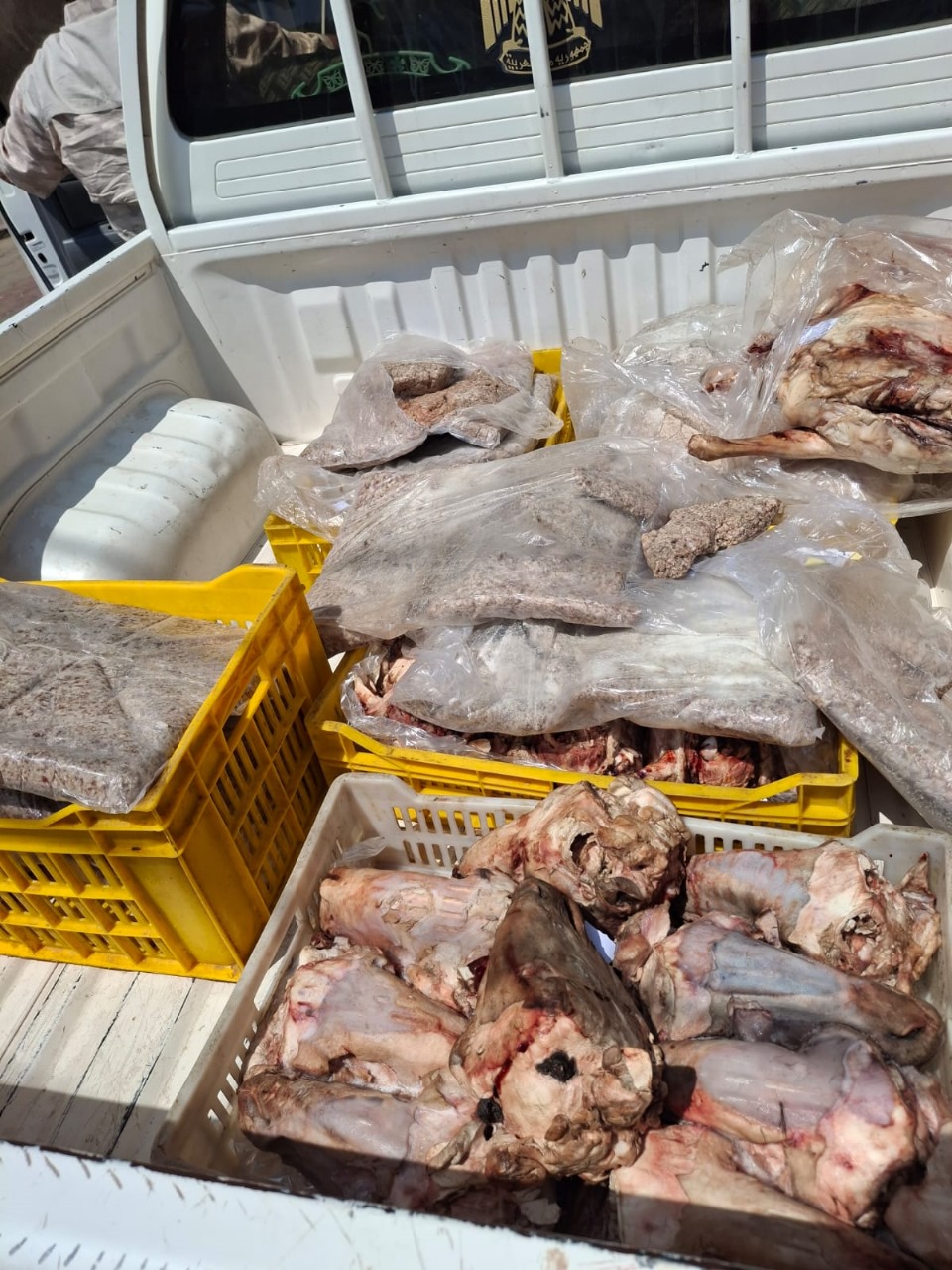 جانب من المضبوطات 