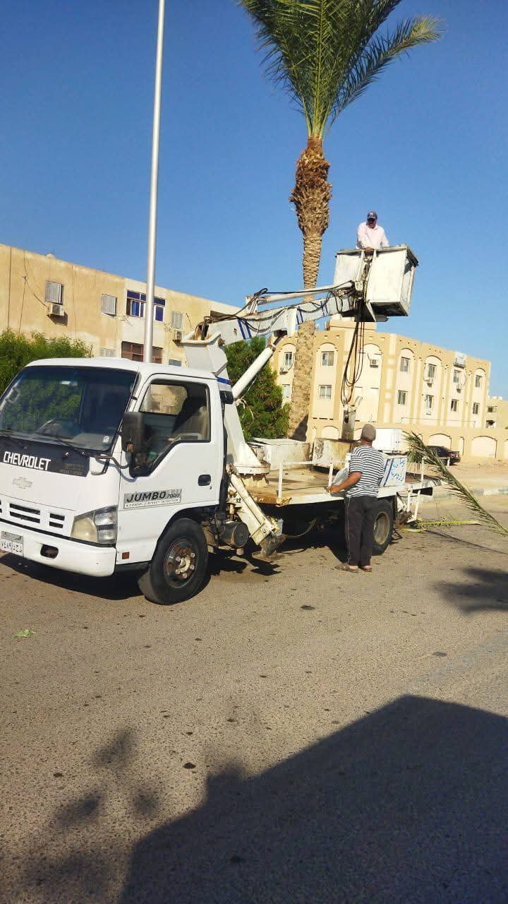 جانب من حملات النظافة