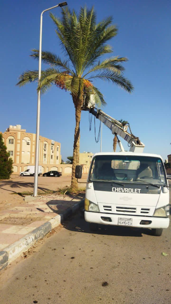 جانب من حملات النظافة