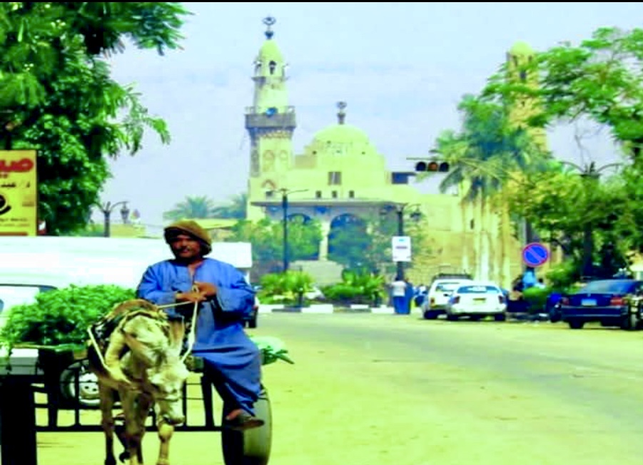 القبض على أبو روشتة أشهر متسول في الأقصر منذ نصف قرن 