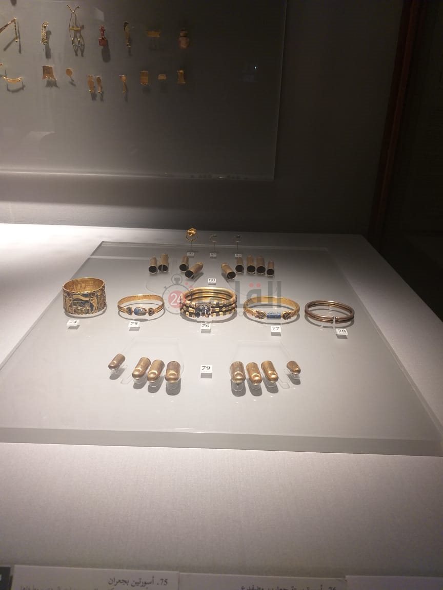 <strong>أسورة كنوز تانيس تثير جدل مواقع التواصل</strong>