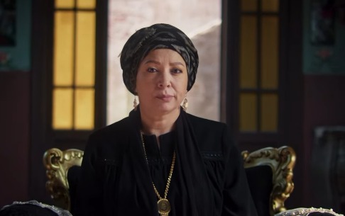 فيلم السادة الأفاضل