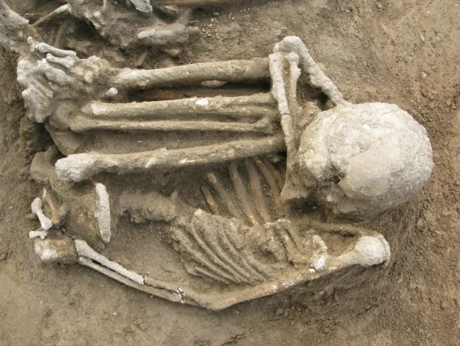 مكتشفات صينية