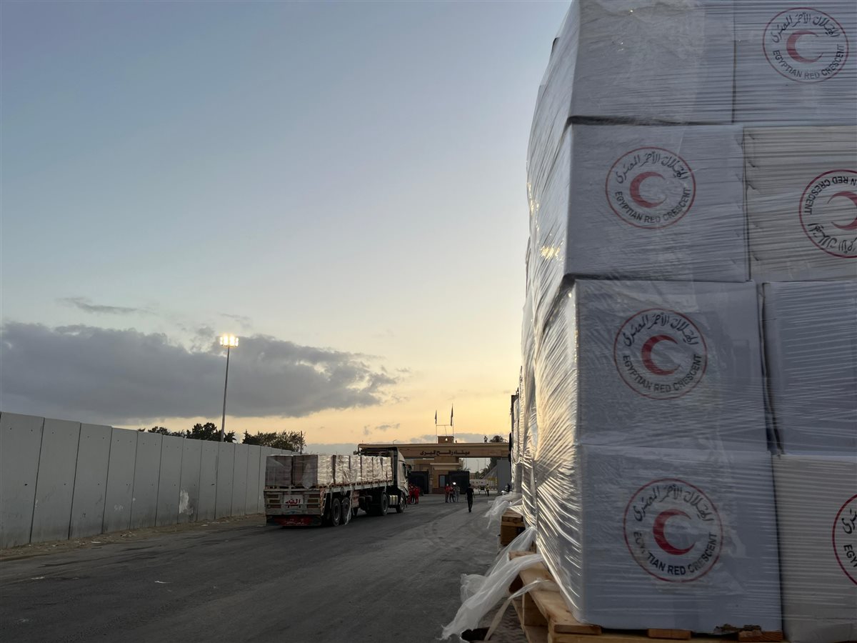 قافلة « زاد العزة.. من مصر إلى غزة»