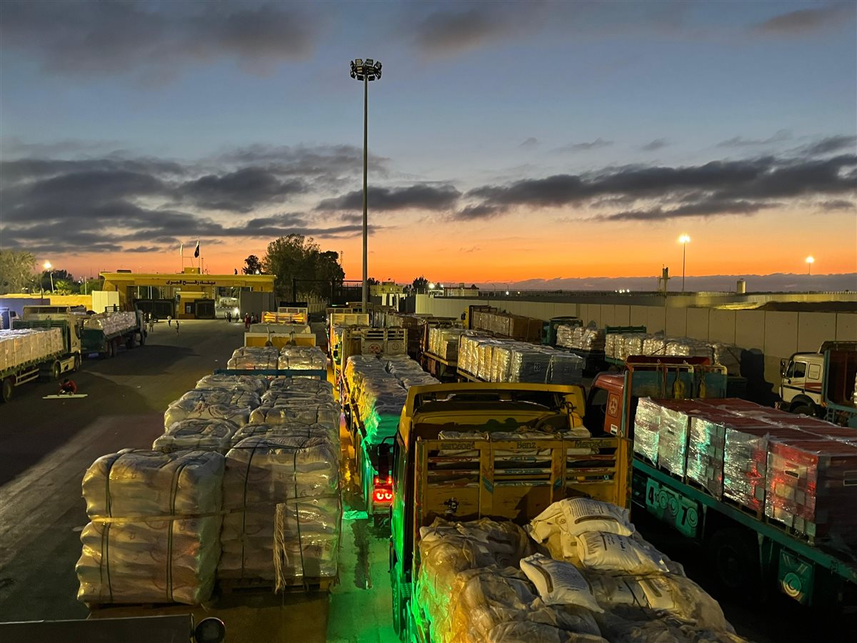 قافلة « زاد العزة.. من مصر إلى غزة»