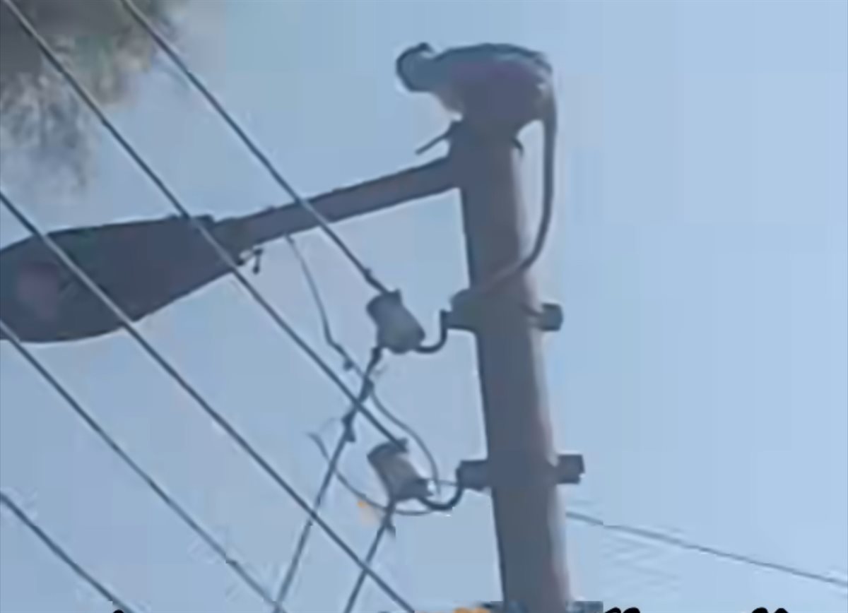 ظهور نسناس الأقصر مرة أخرى