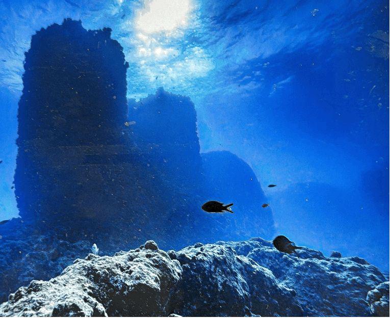 الآثار تعلن الكشف عن شواهد أثرية تؤكد وجود ميناء قديم مغمور بالمياه في منطقة معبد تابوزيريس ماجنا بالإسكندرية