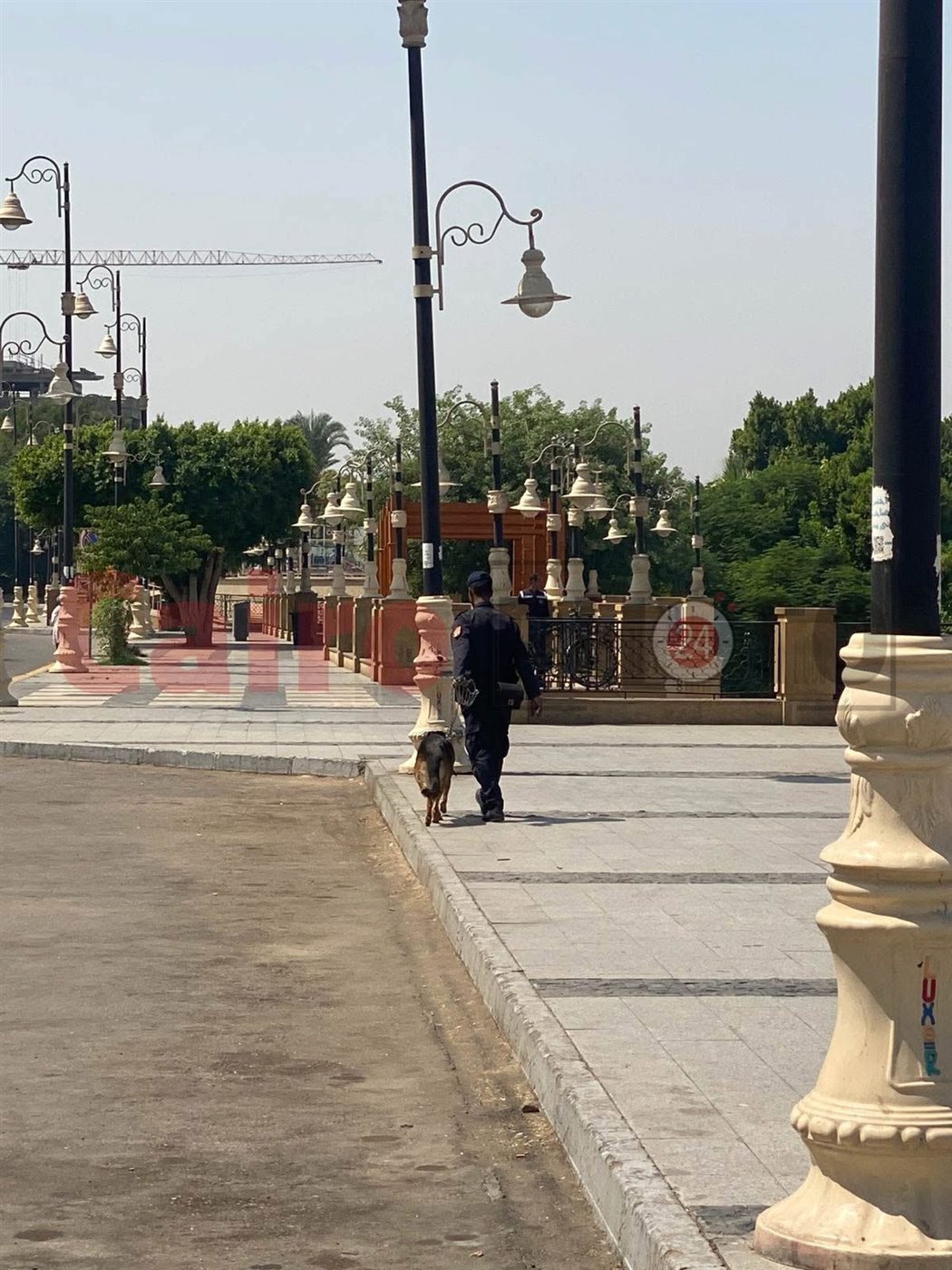 تمشيط كامل بالكلاب البوليسية لمديرية أمن الأقصر