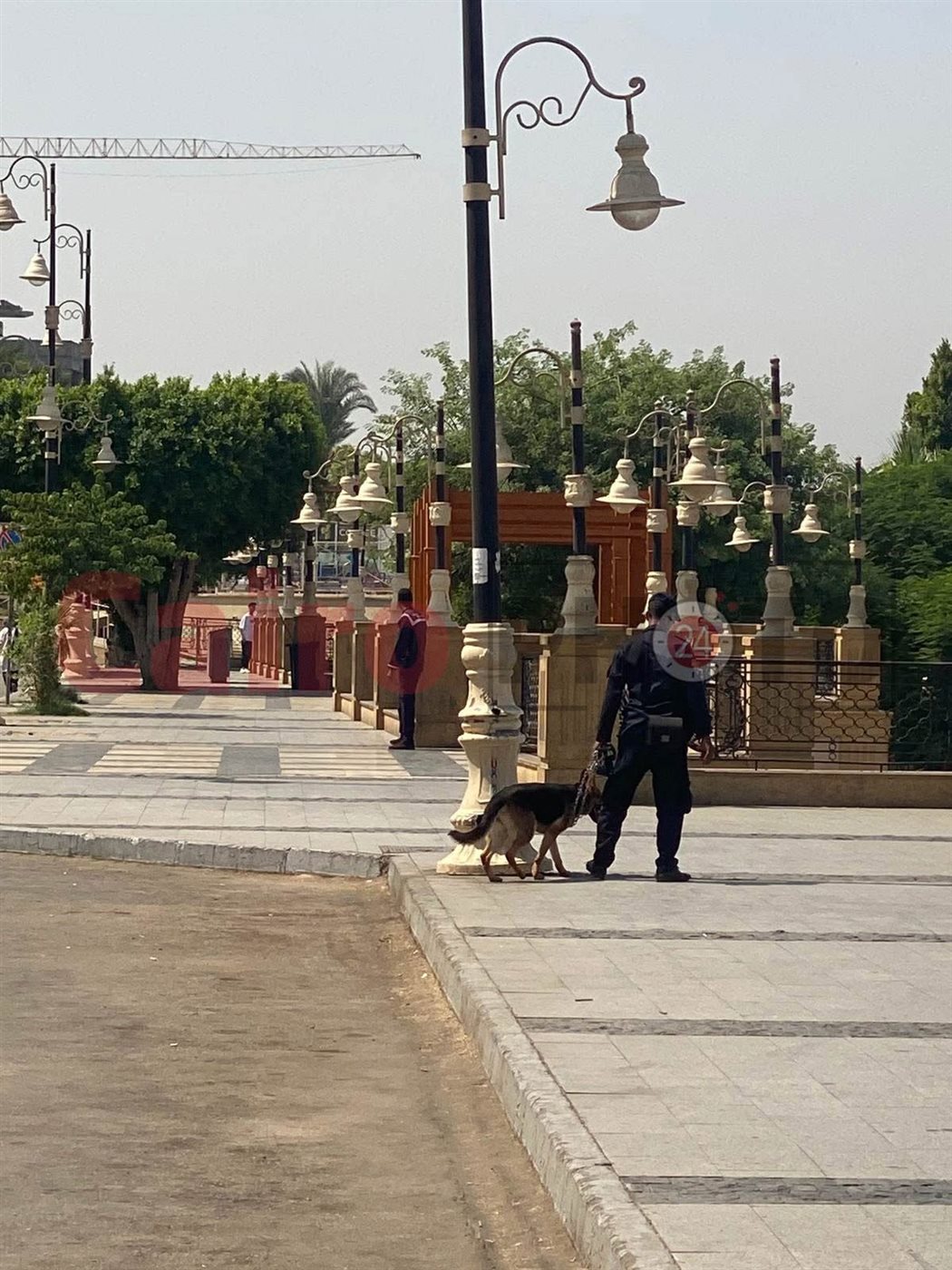 تمشيط كامل بالكلاب البوليسية لمديرية أمن الأقصر