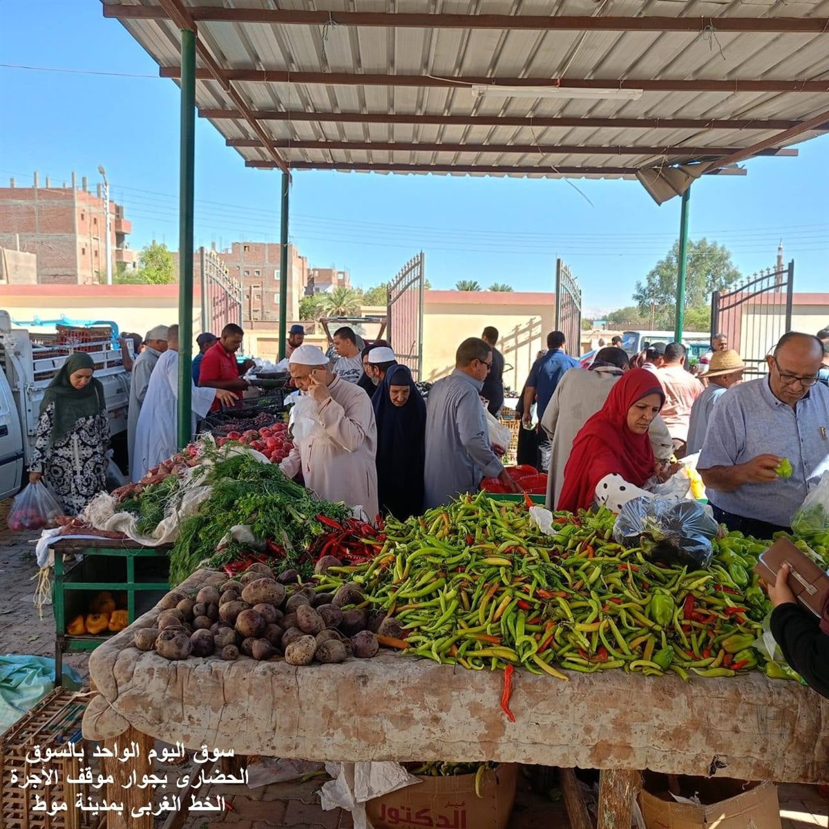 سوق اليوم الواحد بواحة الداخلة