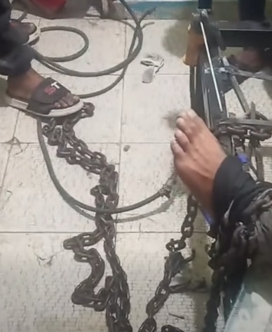 الفيديو المتداول