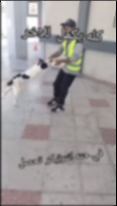  القبض علي عامل بنزينة لتعديه علي كلب بمطروح 