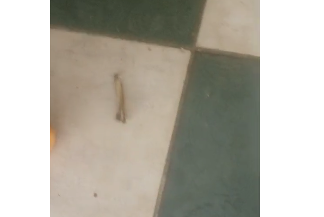 <strong>صورة من داخلة الغرفة</strong>