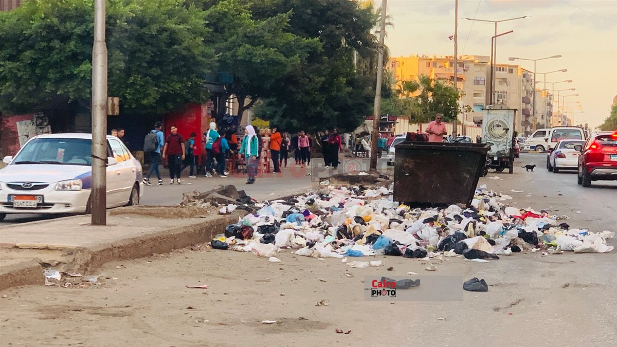 الكلاب الضالة وتجمعات القمامة في محيط المدارس ببورسعيد 