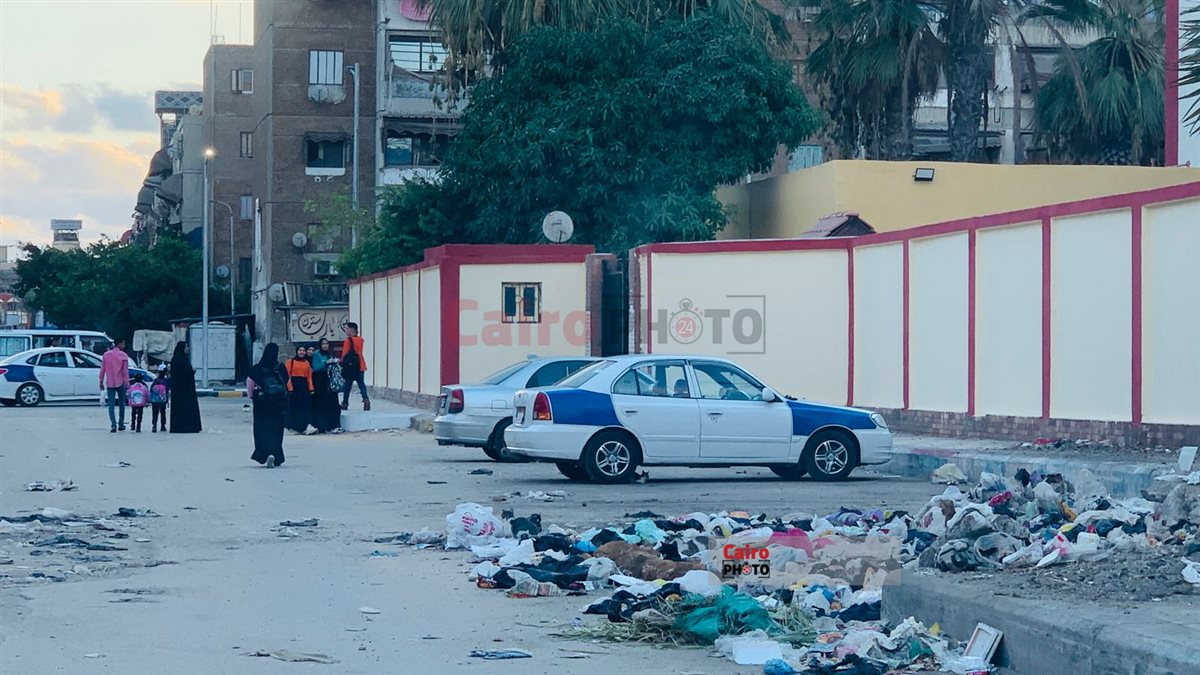 الكلاب الضالة وتجمعات القمامة في محيط المدارس ببورسعيد 