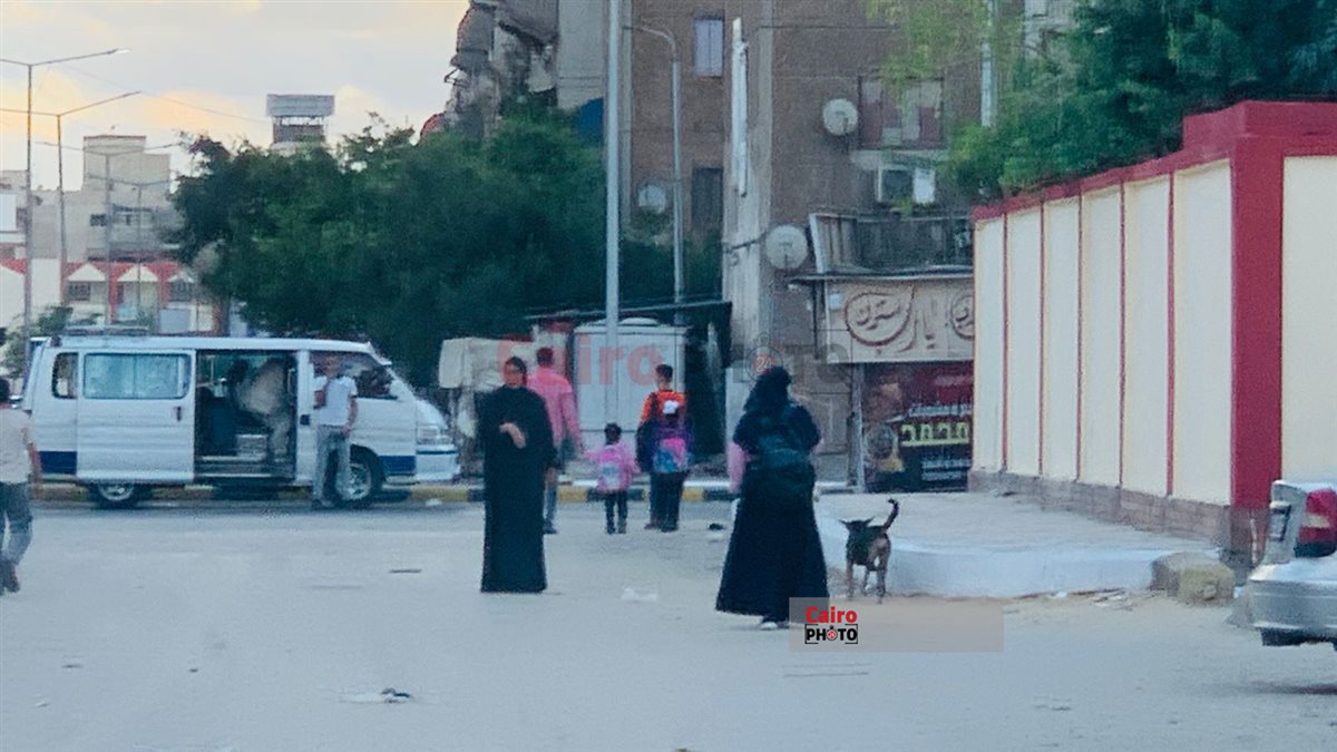 الكلاب الضالة وتجمعات القمامة في محيط المدارس ببورسعيد 