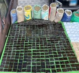 إحباط تهريب مخدرات بـ 125 مليون جنيه