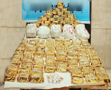 ضبط مزرعة مخدرات بقيمة مليار و600 مليون على مساحة 3.5 فدان بالإسماعيلية (10)