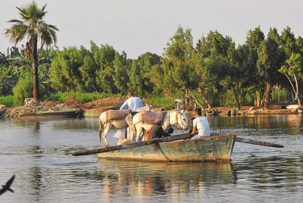 جزيرة القيراطين في الجيزة