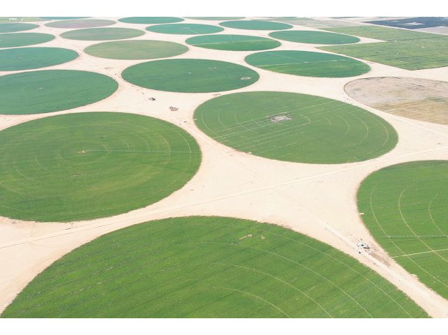 مشروعات جهاز مستقبل مصر