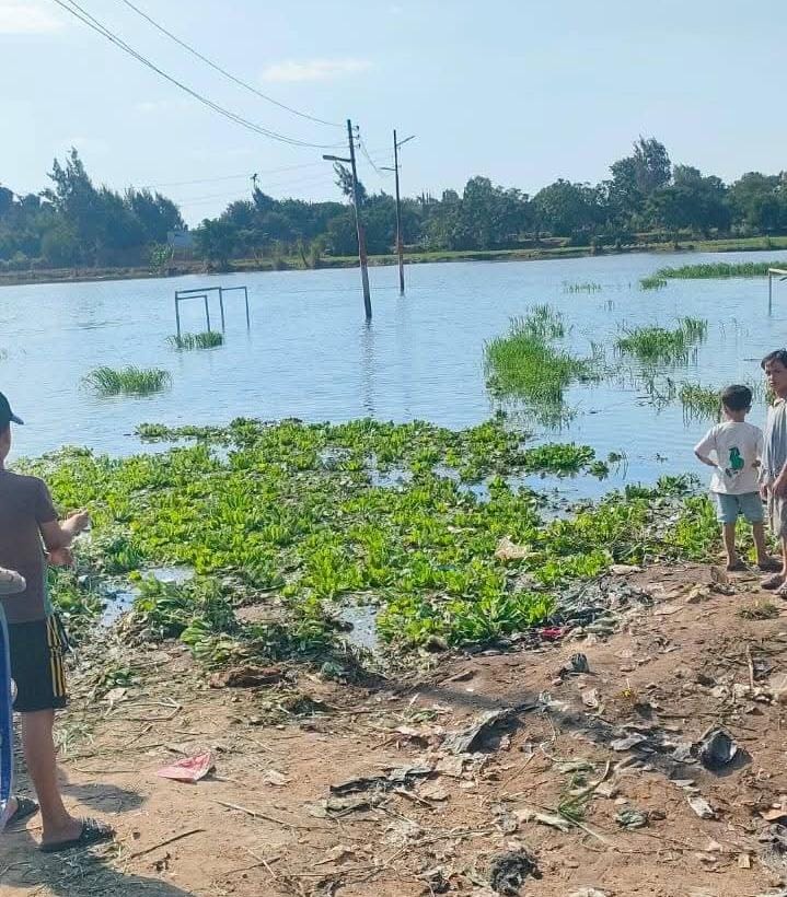 جزيرة داود بالمنوفية