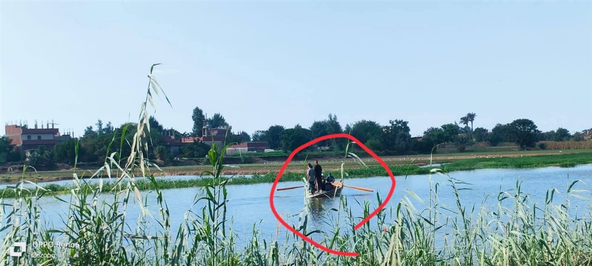 جزيرة داود بالمنوفية