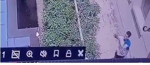 لحظة إلقاء الخبر المسمم للكلب