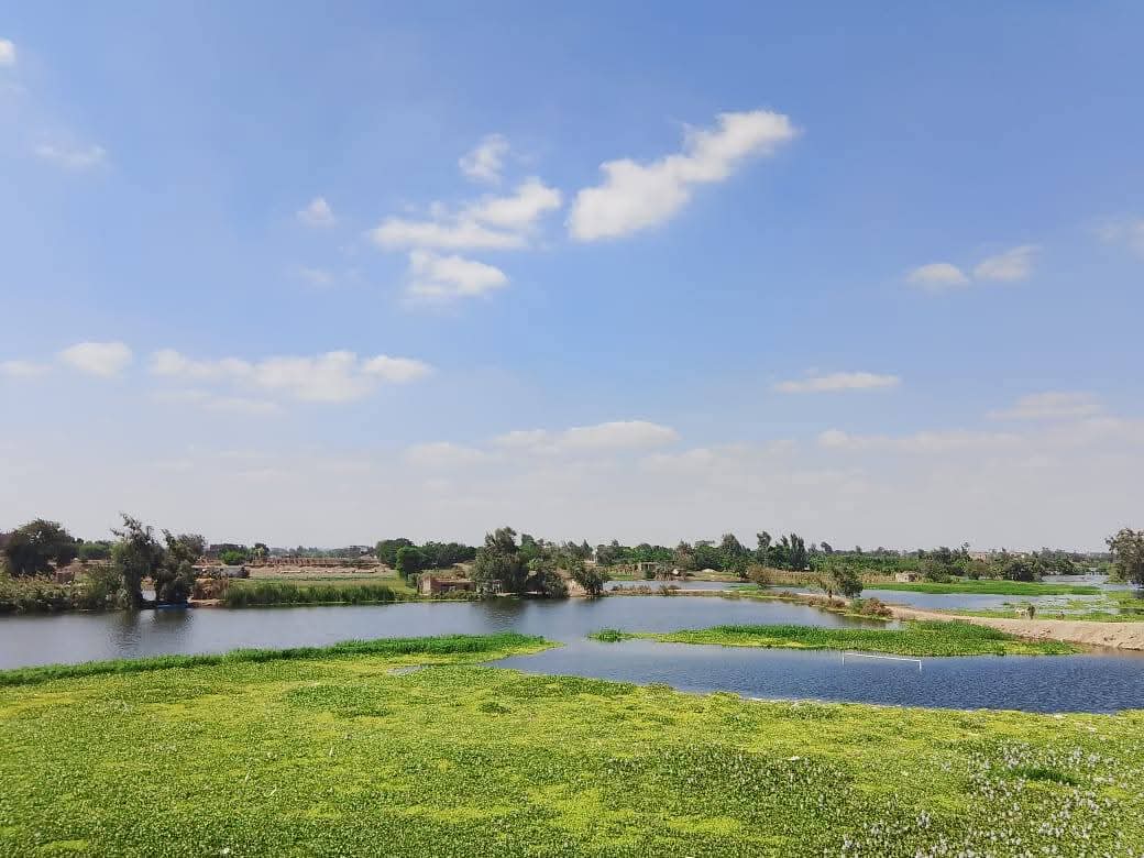 رئيس مدينة منوف يعاين غرق طريق يربط جزيرة داود وصنصفط