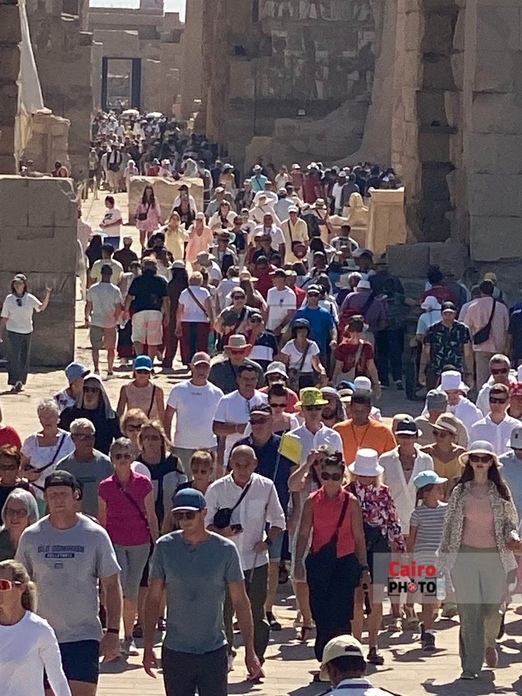 الأقصر تحتفل بيوم السياحة العالمي